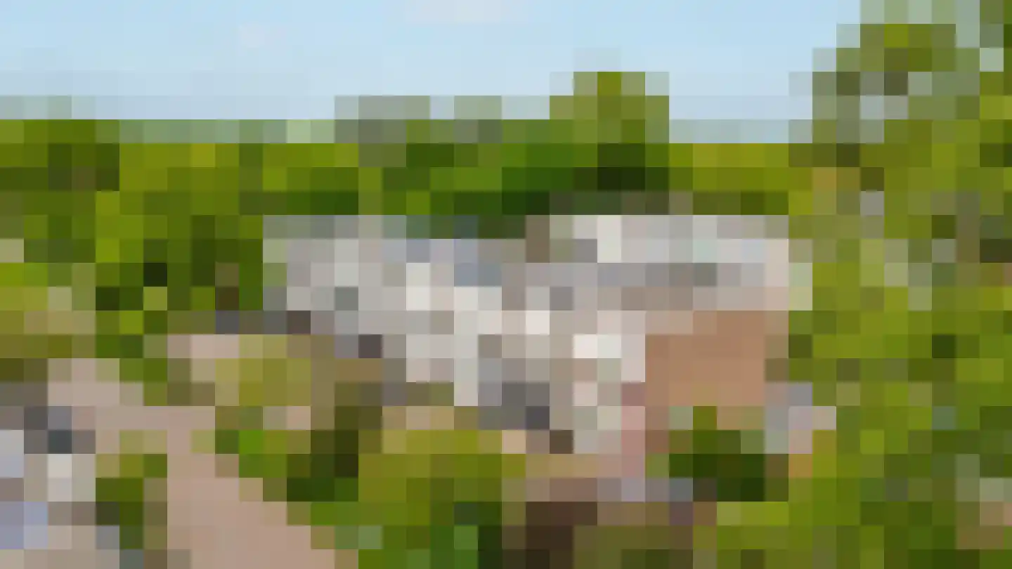 Bernisse 15 A Zwolle thumbnail 23