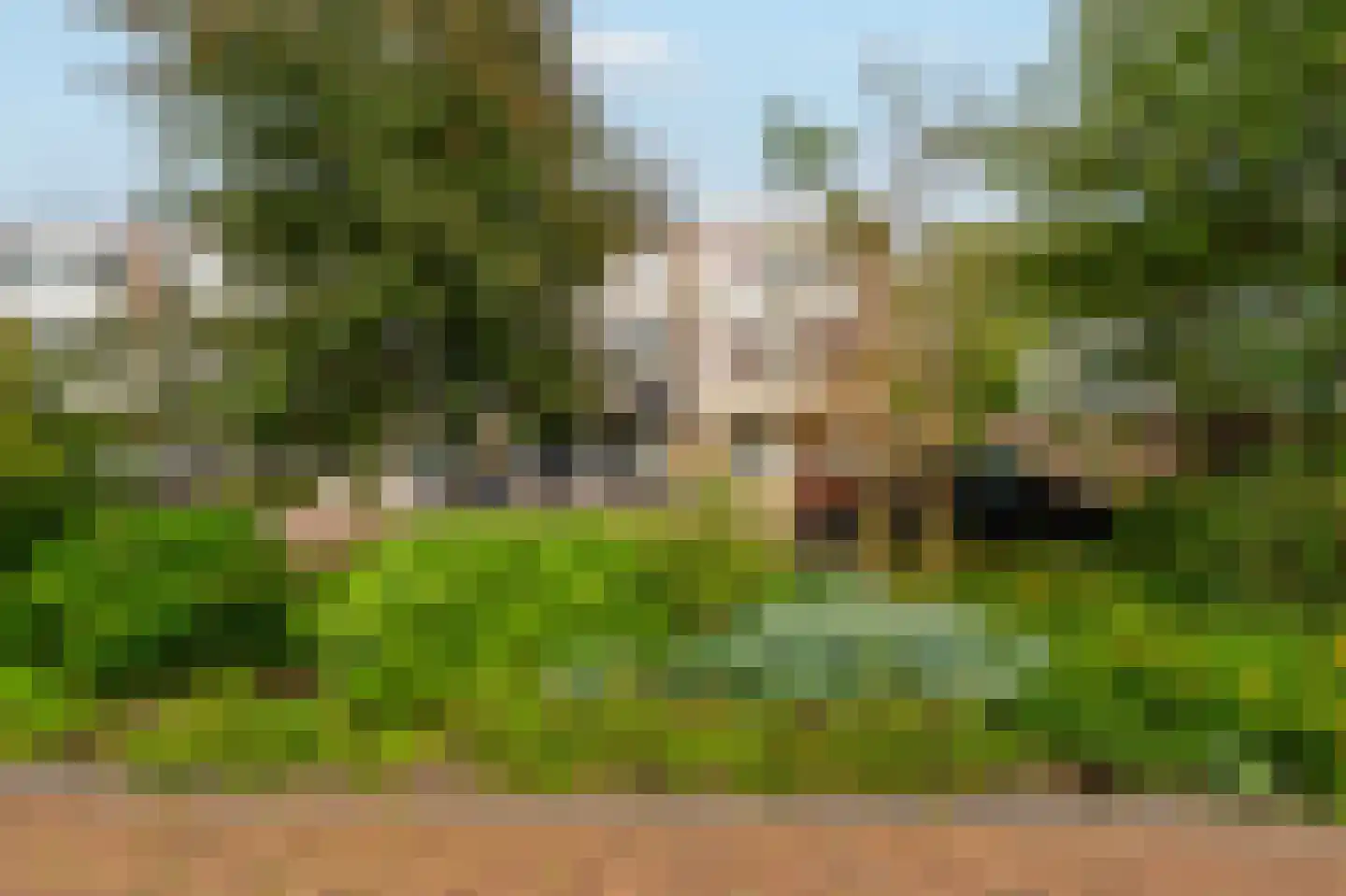 Bernisse 15 A Zwolle thumbnail 25