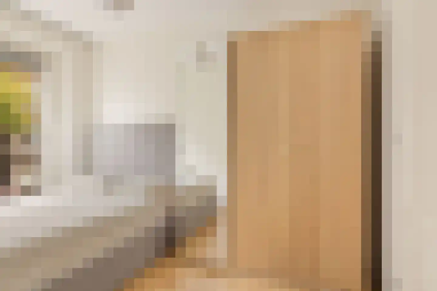 Bernissestraat 2 B Amsterdam thumbnail 17
