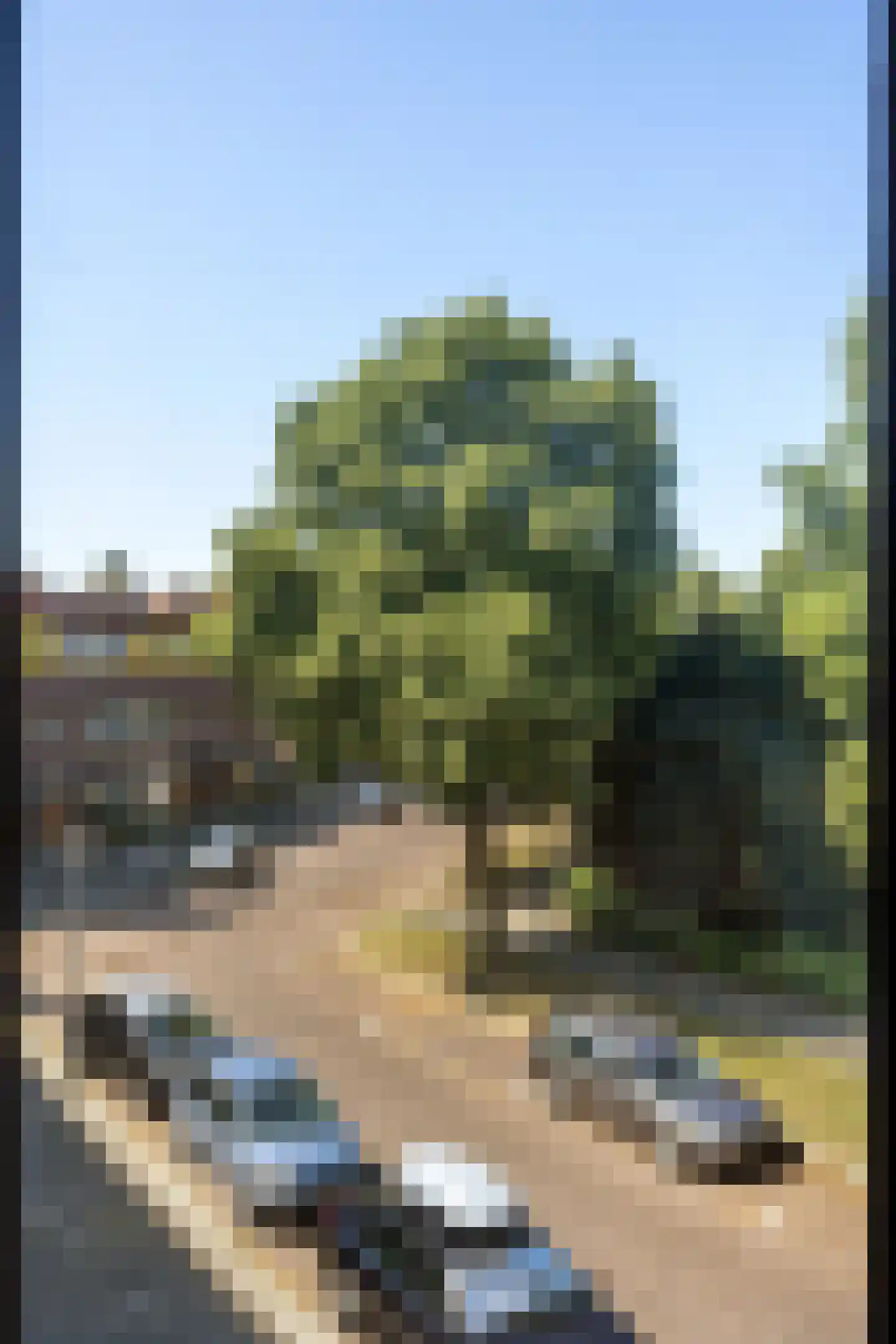 Bernoulliplein 15 a Groningen thumbnail 16