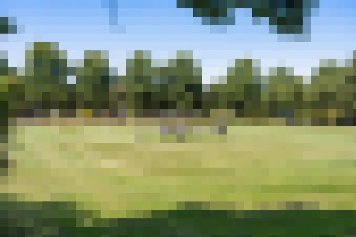 Bernoulliplein 15 a Groningen thumbnail 4