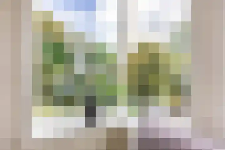 Bernoulliplein 18 a Groningen thumbnail 33