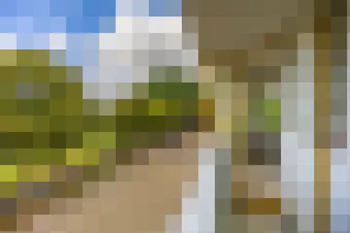 Bernoulliplein 18 a Groningen thumbnail 36