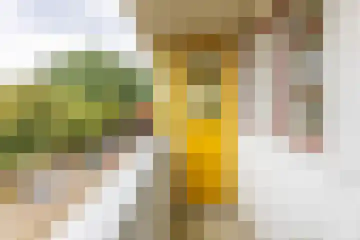 Bernoulliplein 18 a Groningen thumbnail 37