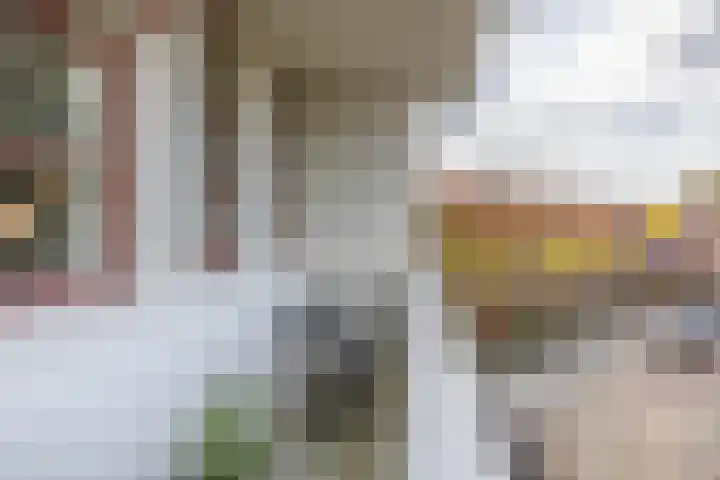 Bernoulliplein 18 a Groningen thumbnail 39