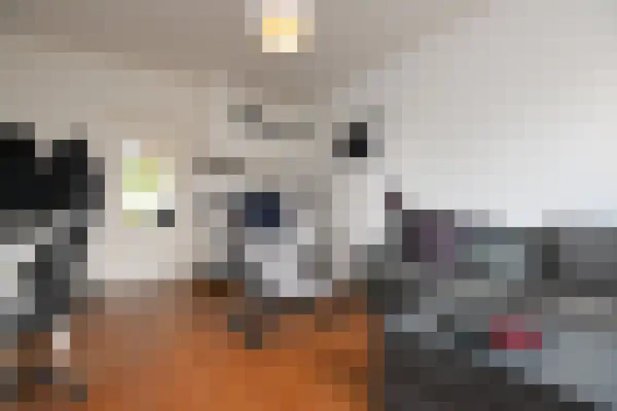 Bernoulliplein 23 Groningen thumbnail 5