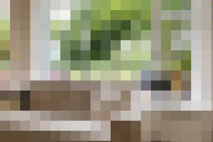 Bernoulliplein 26 Groningen thumbnail 12