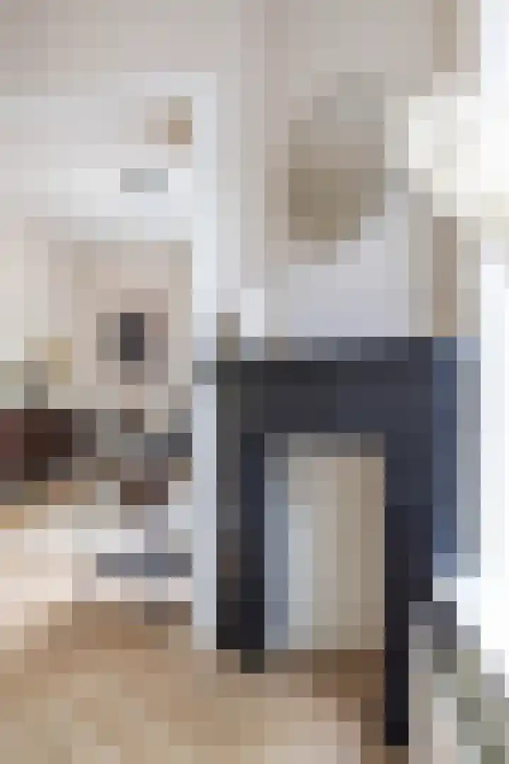 Bernoulliplein 26 Groningen thumbnail 15