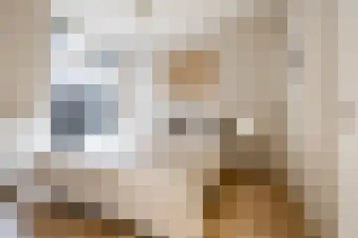 Bernoulliplein 26 Groningen thumbnail 18