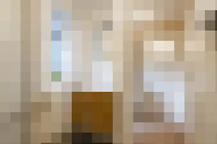 Bernoulliplein 26 Groningen thumbnail 27
