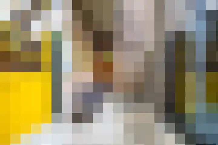 Bernoulliplein 26 Groningen thumbnail 31