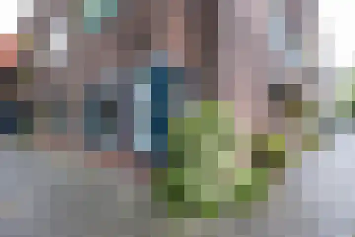Bernoulliplein 26 Groningen thumbnail 35