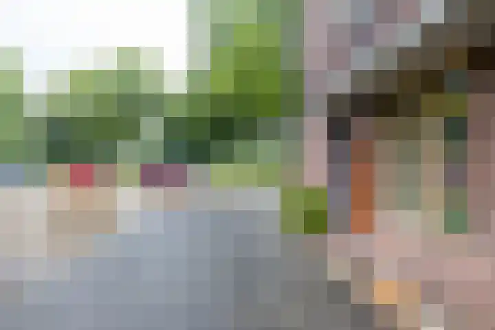 Bernoulliplein 26 Groningen thumbnail 37