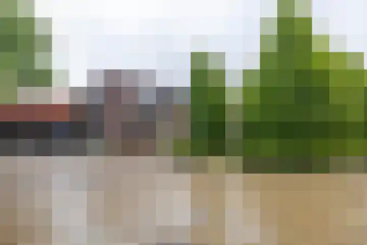 Bernoulliplein 26 Groningen thumbnail 38