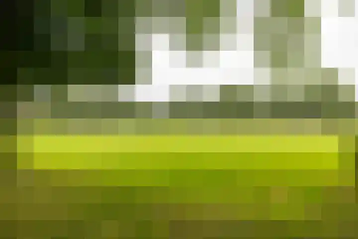 Bernoulliplein 26 Groningen thumbnail 39