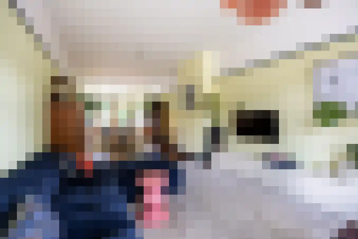 Bernoulliplein 30 Groningen thumbnail 17