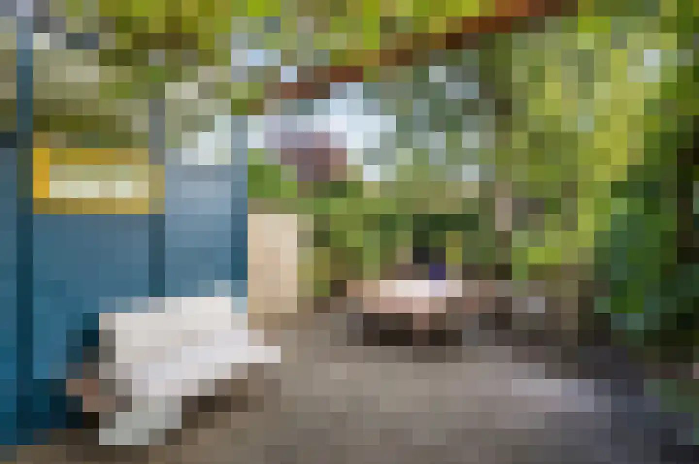 Bernoulliplein 30 Groningen thumbnail 45