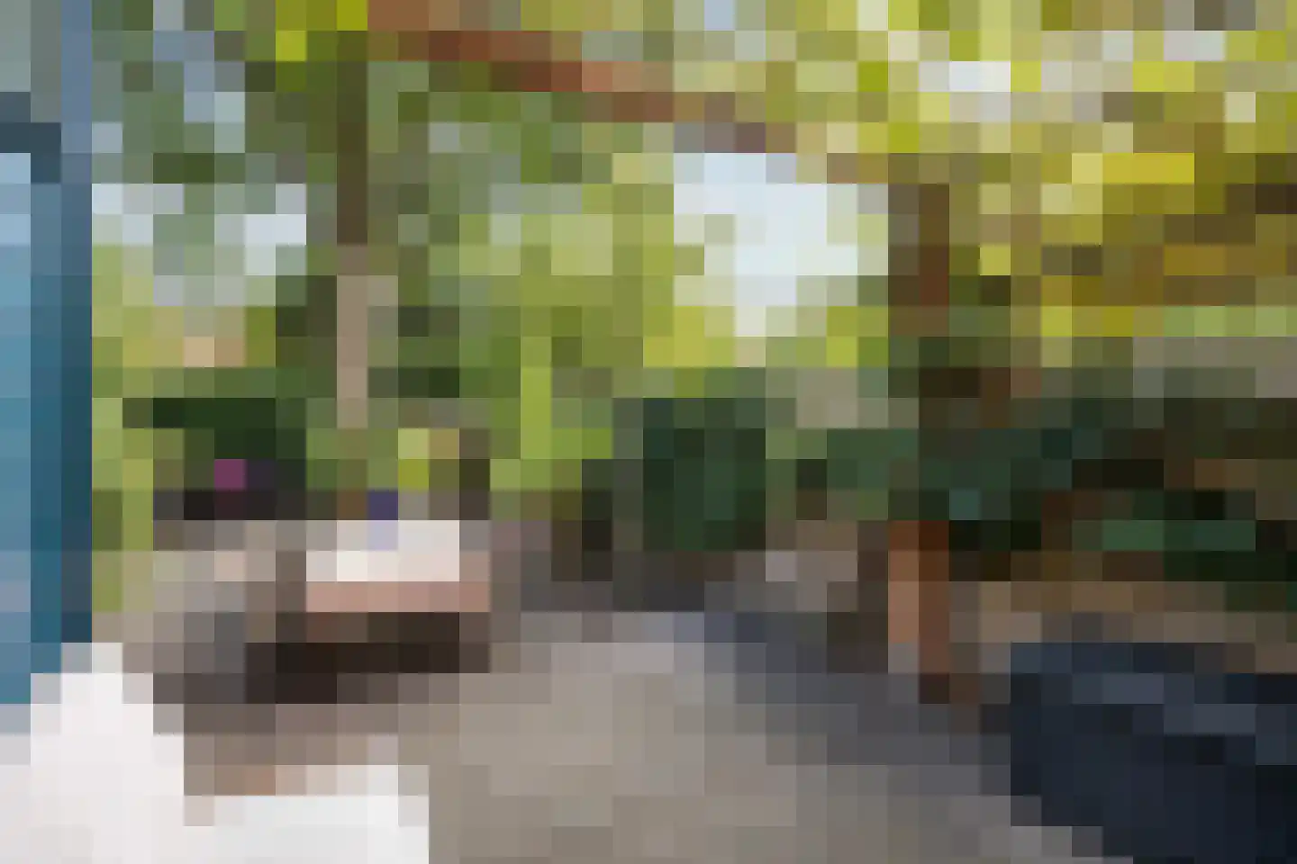 Bernoulliplein 30 Groningen thumbnail 46