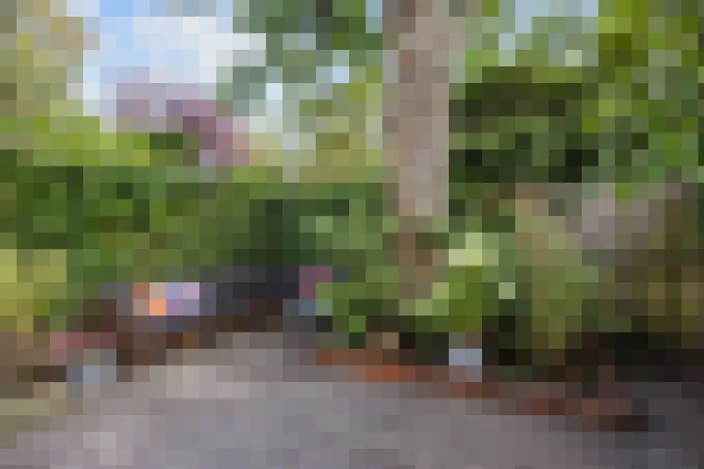 Bernoulliplein 30 Groningen thumbnail 48