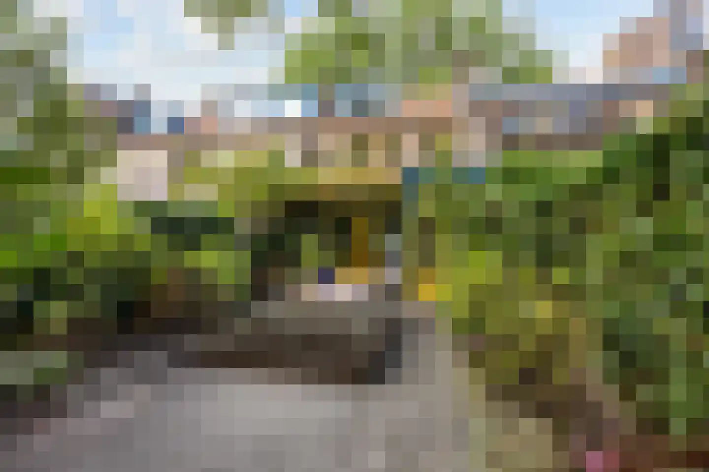 Bernoulliplein 30 Groningen thumbnail 50
