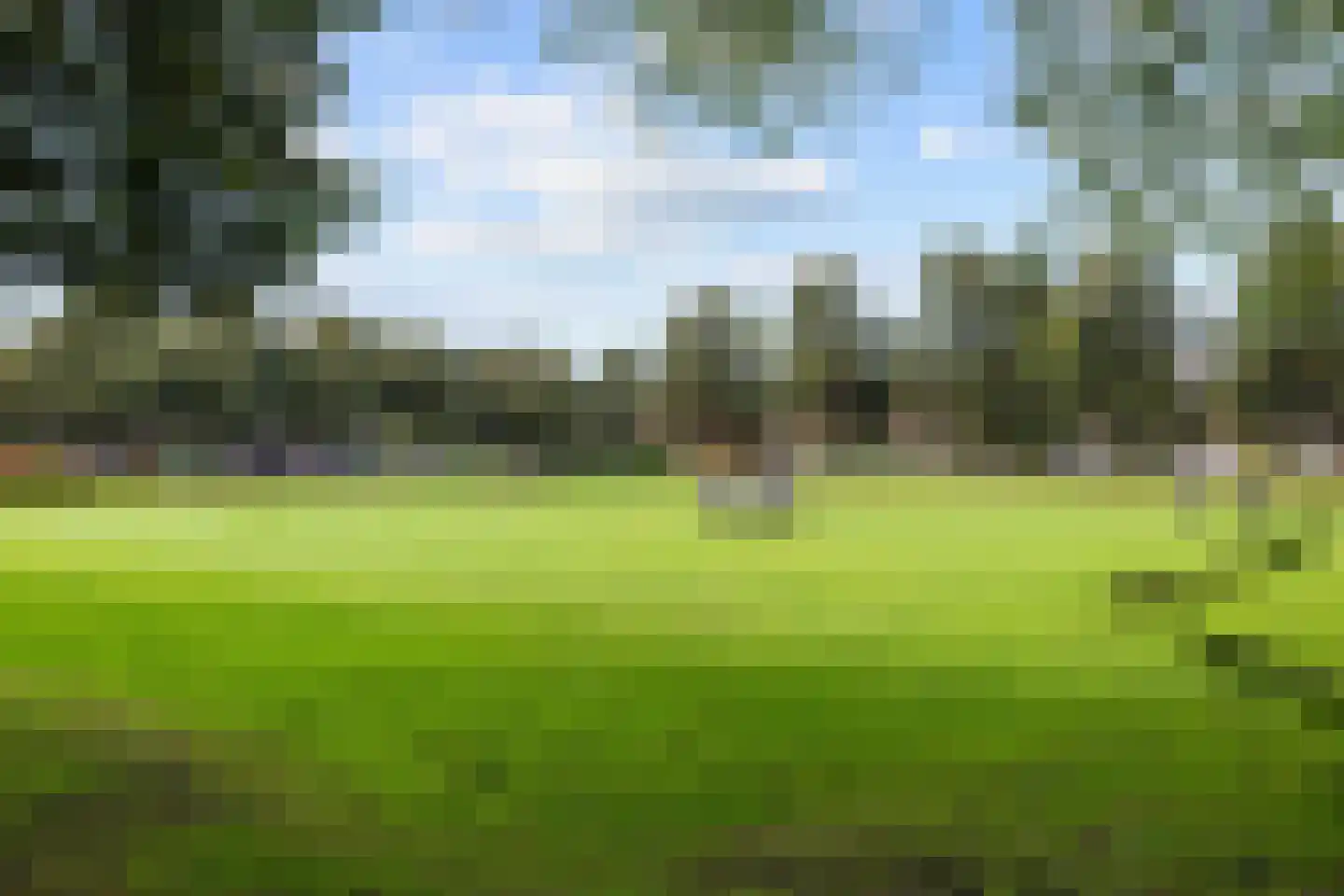 Bernoulliplein 30 Groningen thumbnail 55