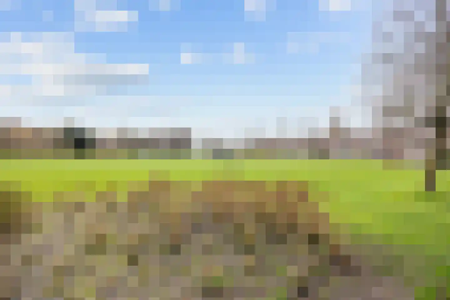 Bernoulliplein 35 a Groningen thumbnail 4