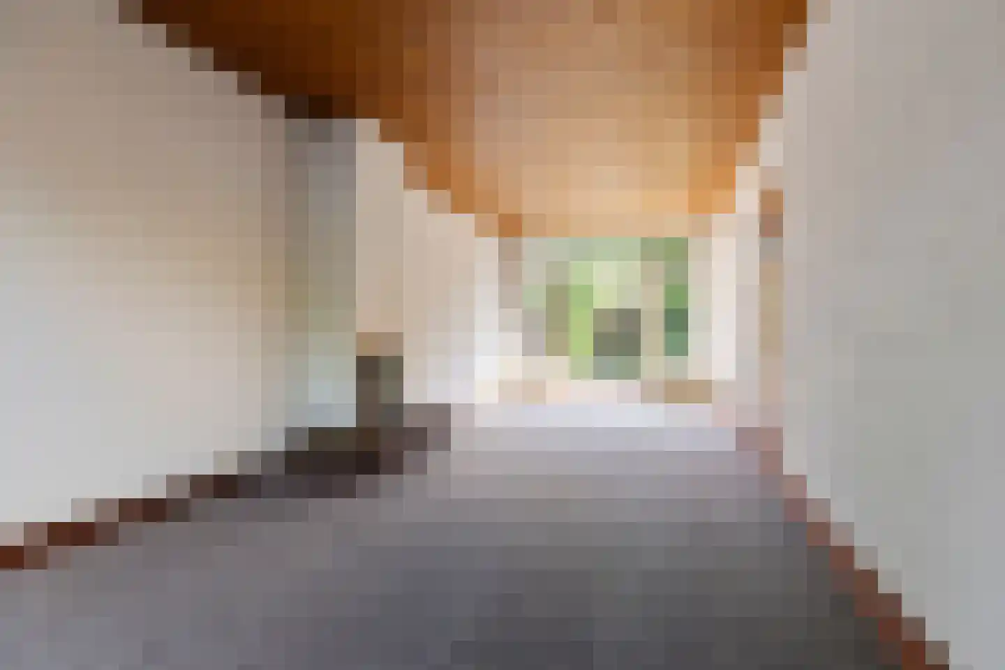 Bernoulliplein 9 Groningen thumbnail 19