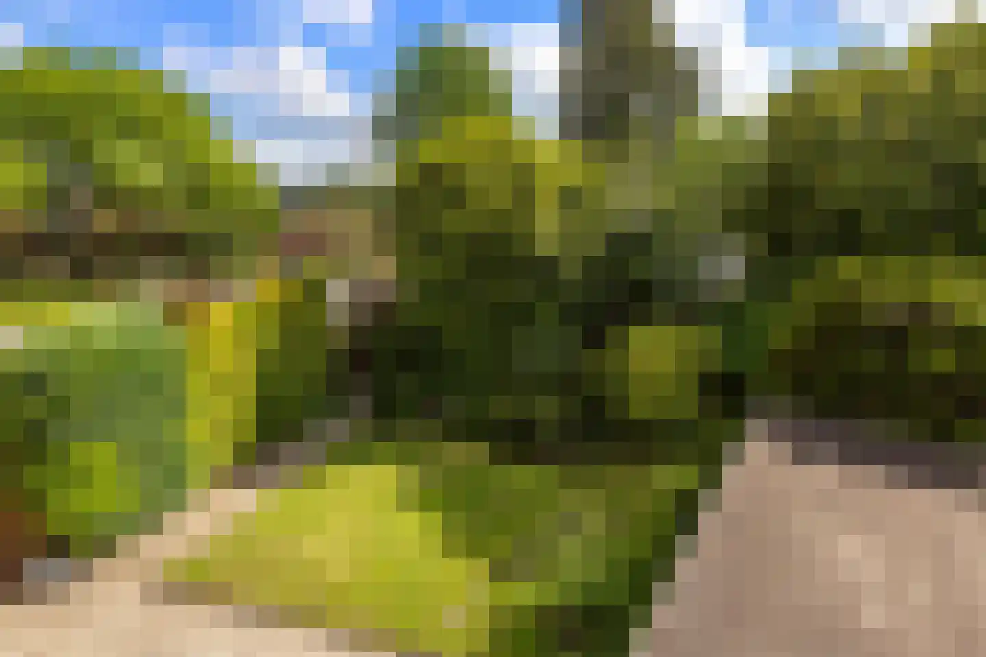 Bernoulliplein 9 Groningen thumbnail 36