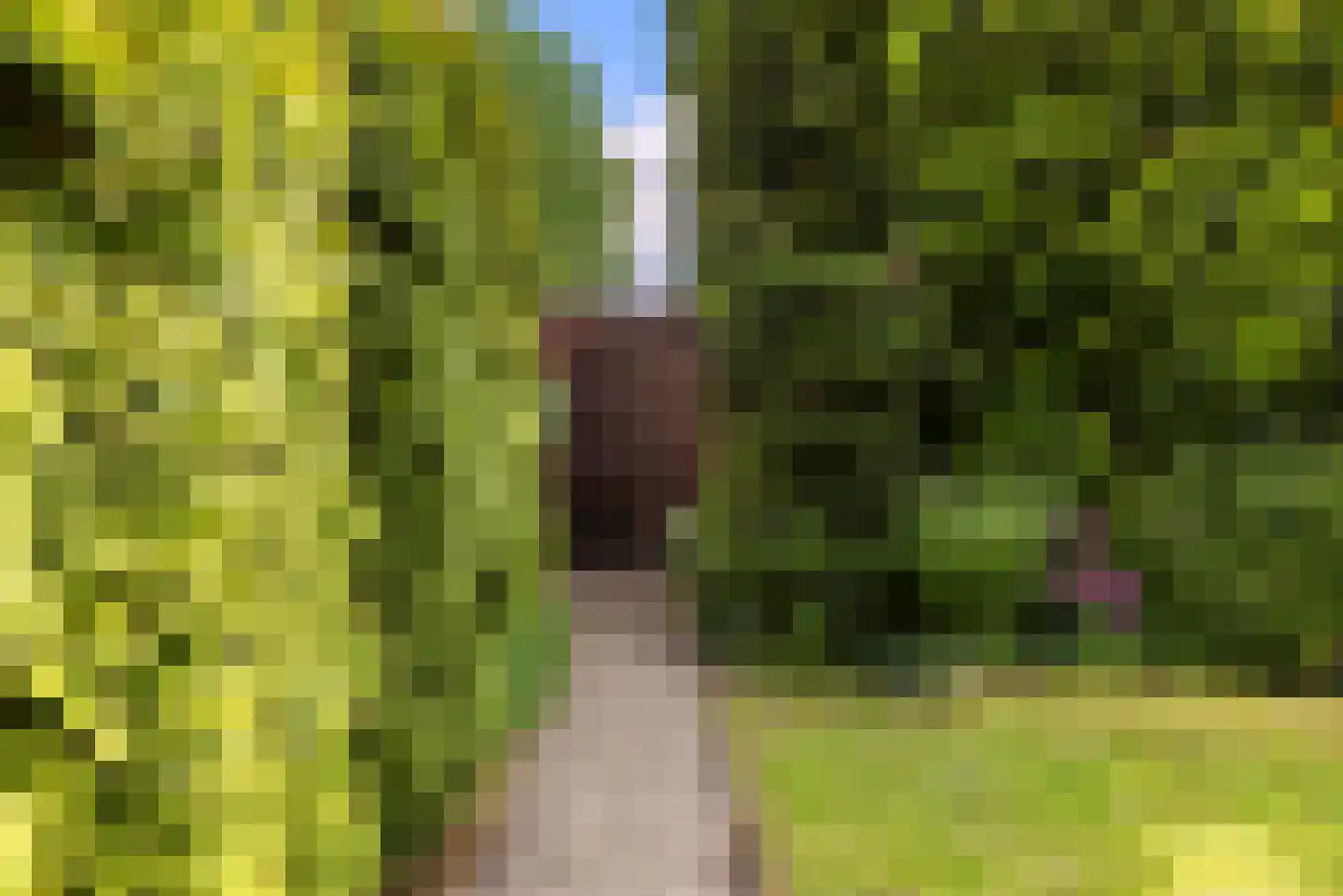 Bernoulliplein 9 Groningen thumbnail 37