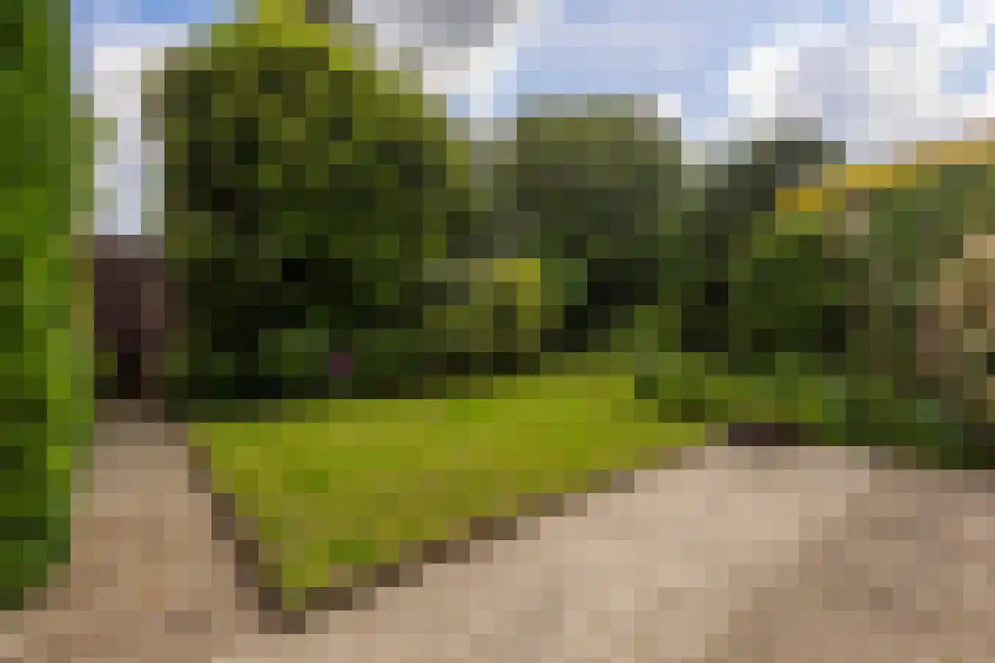 Bernoulliplein 9 Groningen thumbnail 38