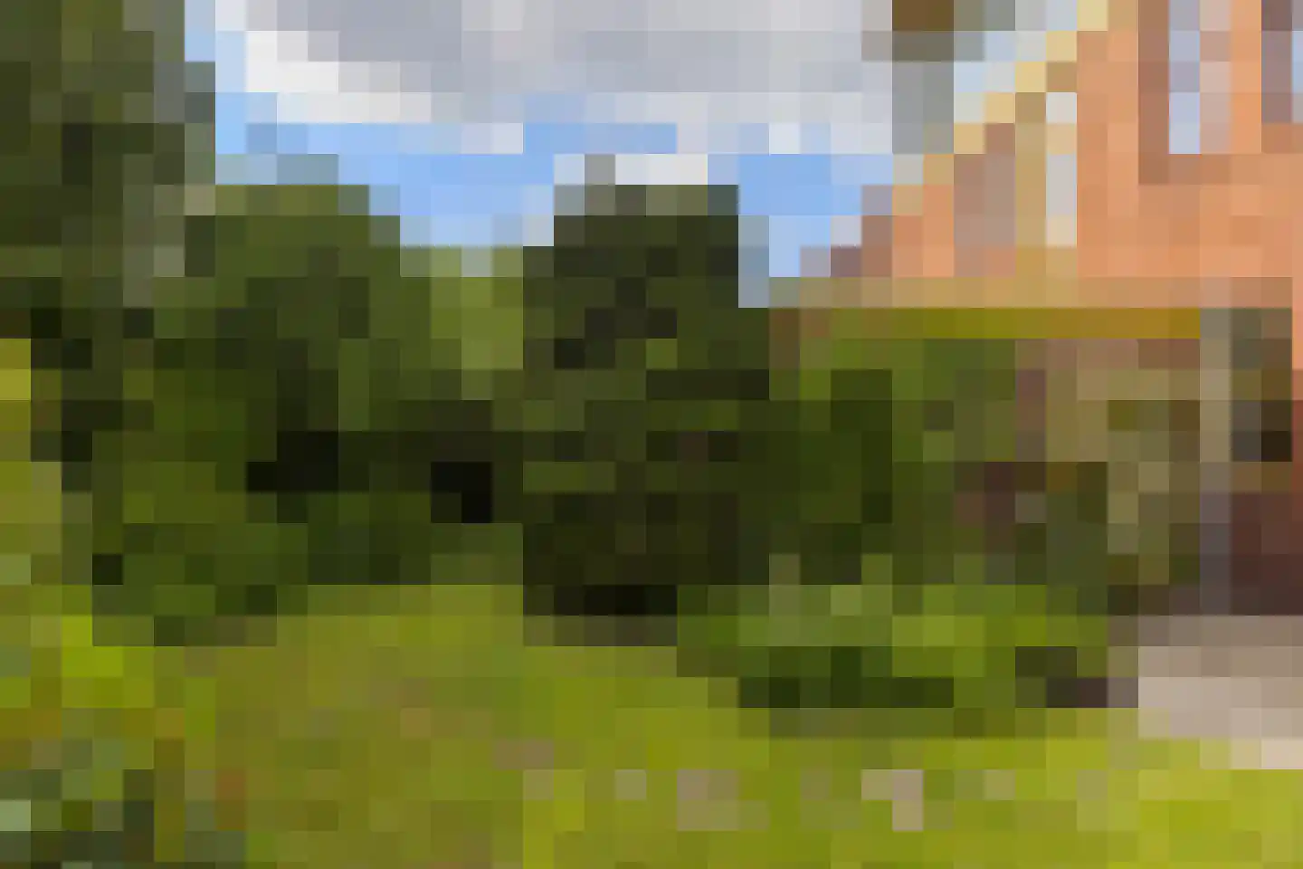Bernoulliplein 9 Groningen thumbnail 39