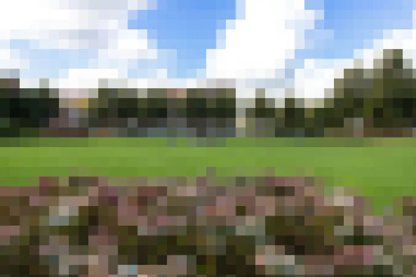 Bernoulliplein 9 Groningen thumbnail 46