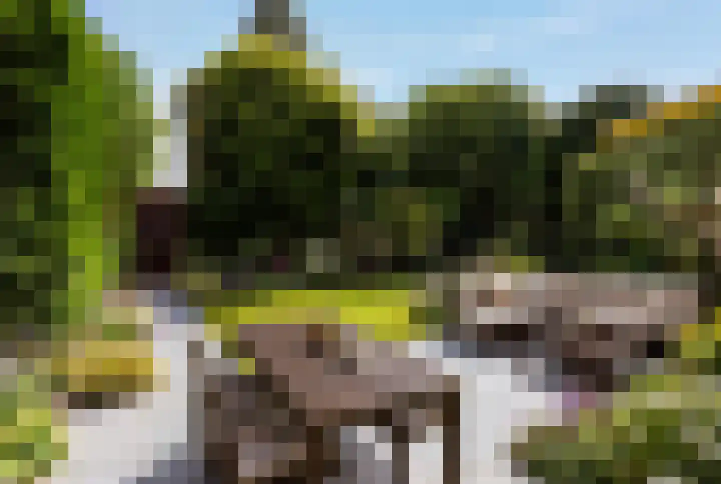 Bernoulliplein 9 Groningen thumbnail 5