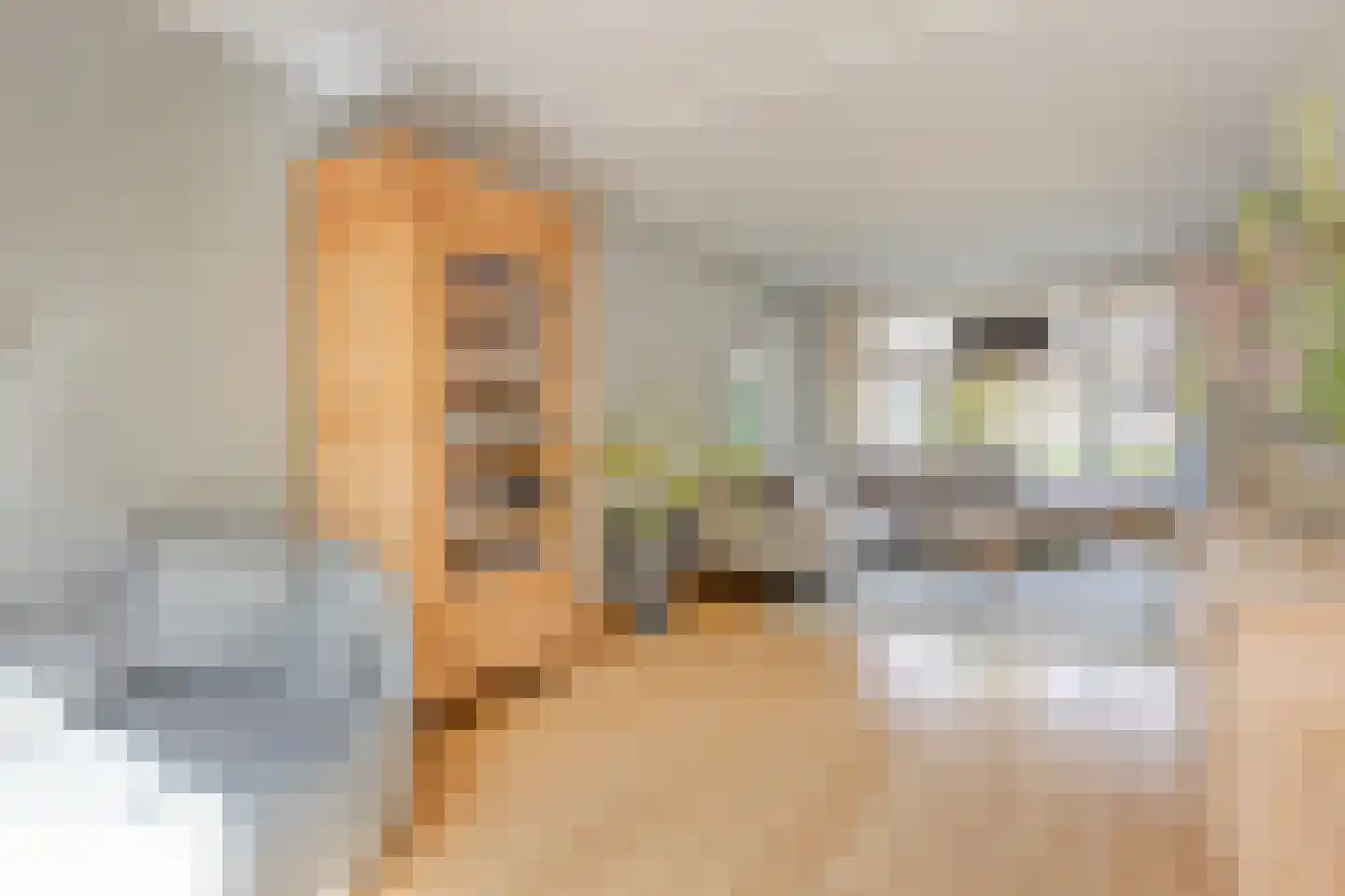 Bernoullistraat 1 Helmond thumbnail 16