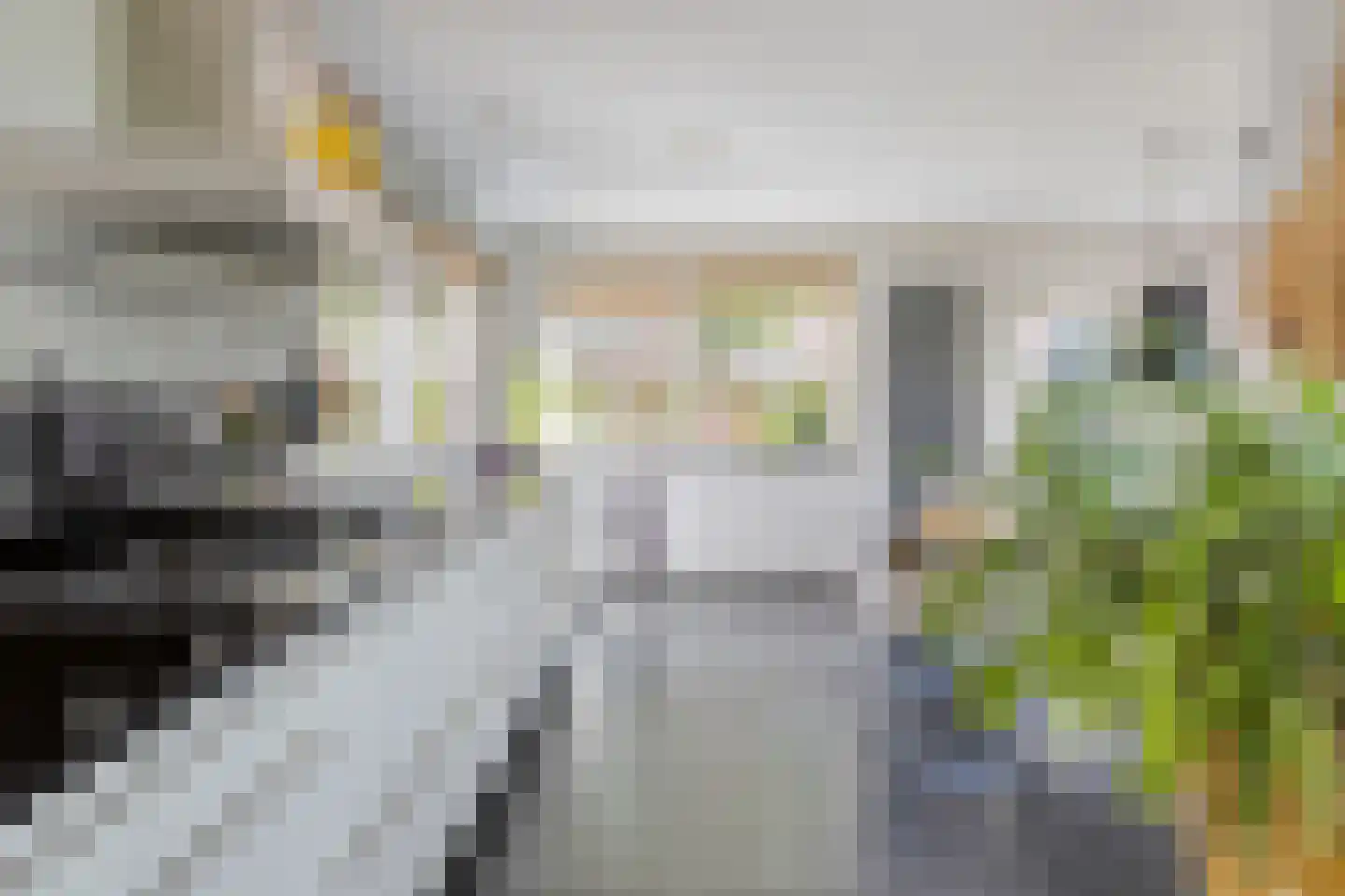 Bernoullistraat 1 Helmond thumbnail 18
