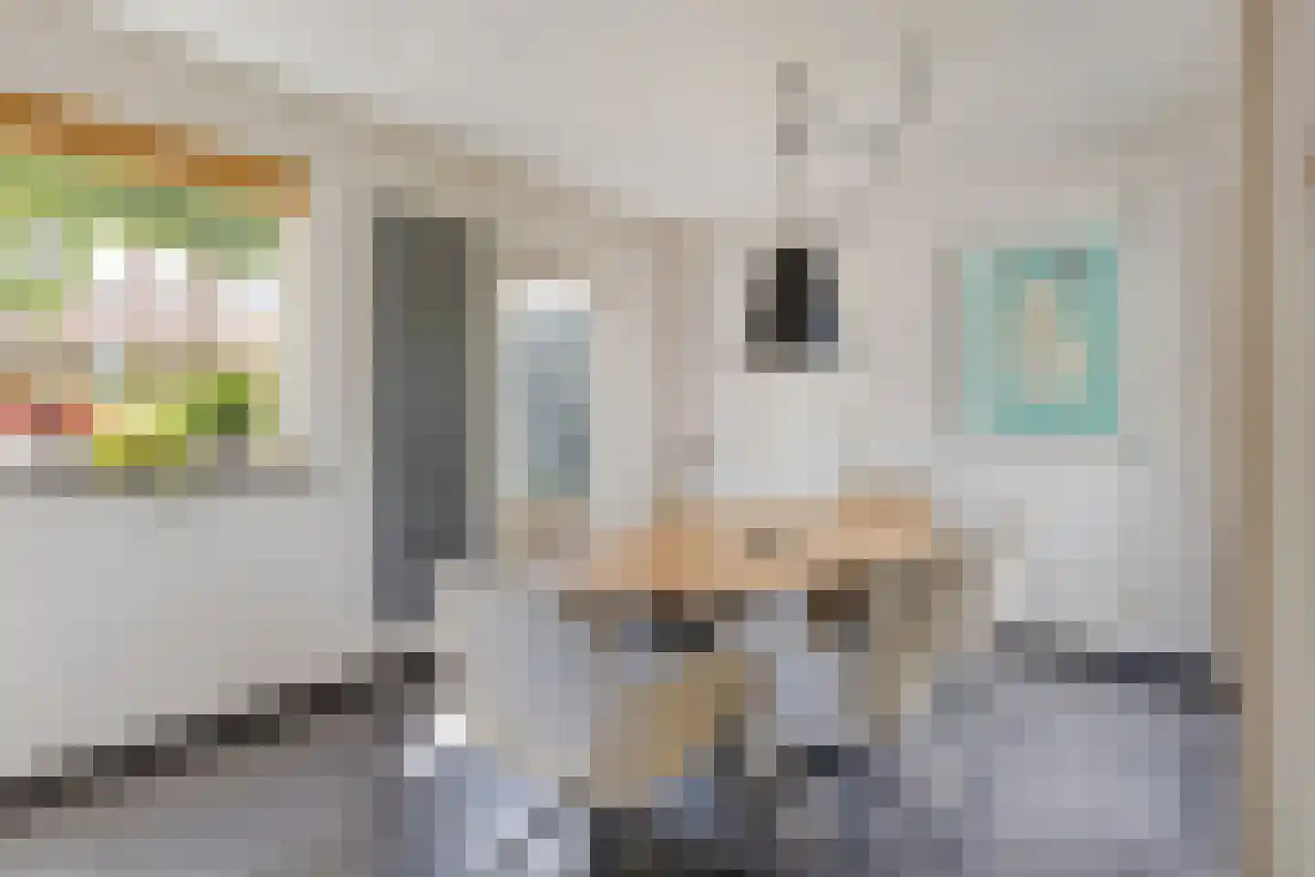 Bernoullistraat 1 Helmond thumbnail 20