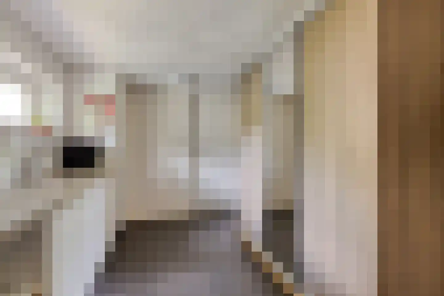 Bernoullistraat 1 Helmond thumbnail 25