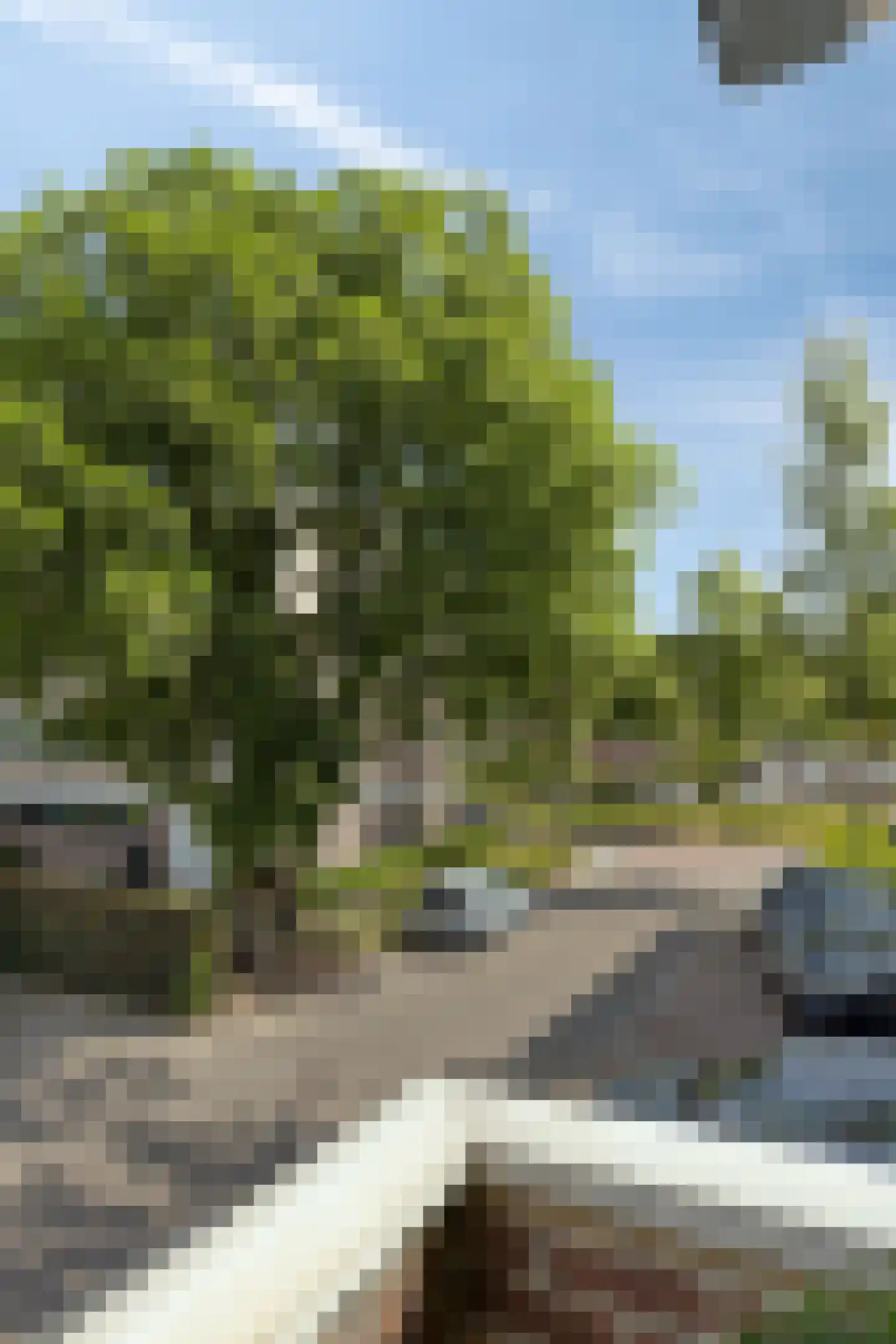 Bernoullistraat 1 Helmond thumbnail 33