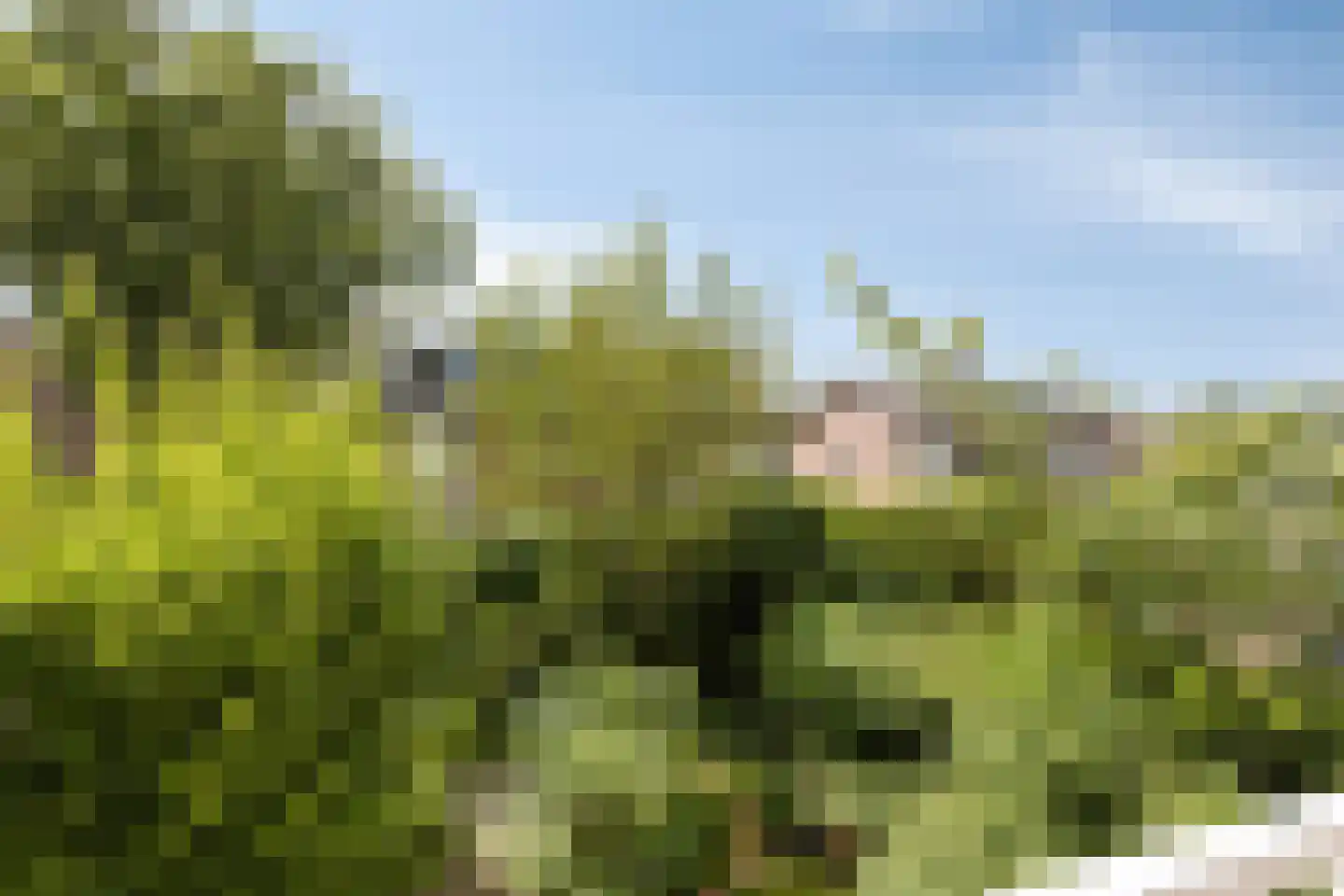 Bernoullistraat 1 Helmond thumbnail 41
