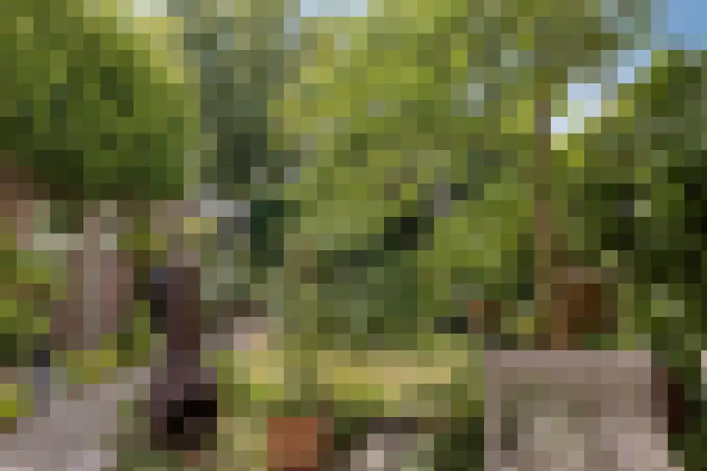 Bernoullistraat 1 Helmond thumbnail 47
