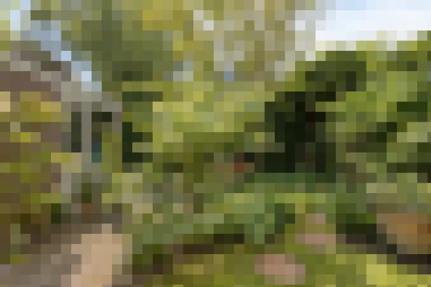 Bernoullistraat 1 Helmond thumbnail 48