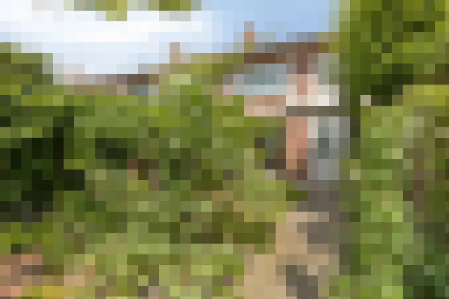 Bernoullistraat 1 Helmond thumbnail 49