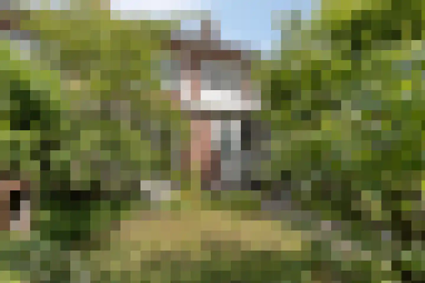 Bernoullistraat 1 Helmond thumbnail 50