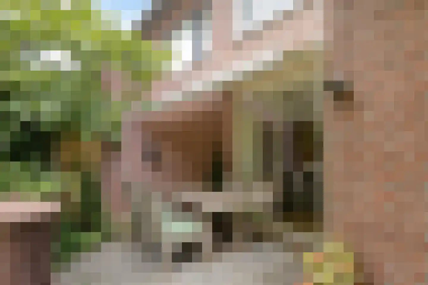 Bernoullistraat 1 Helmond thumbnail 52