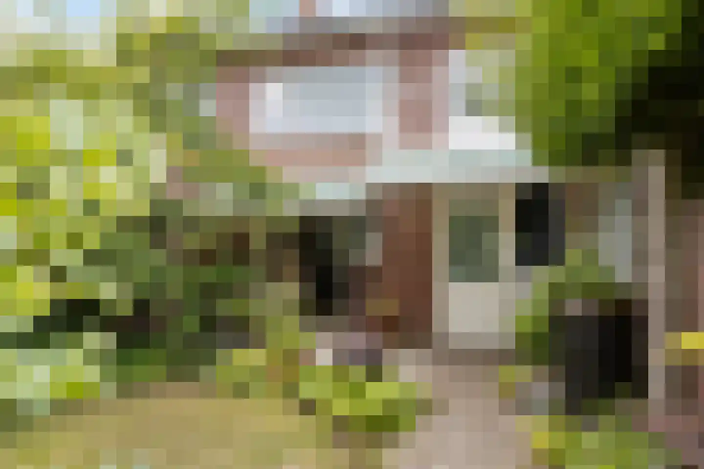 Bernoullistraat 1 Helmond thumbnail 53