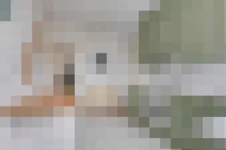 Bernoullistraat 10 Helmond thumbnail 16