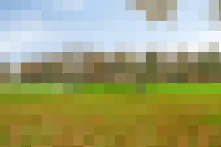 Bernoullistraat 10 Helmond thumbnail 31