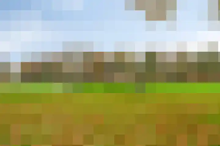 Bernoullistraat 10 Helmond thumbnail 5