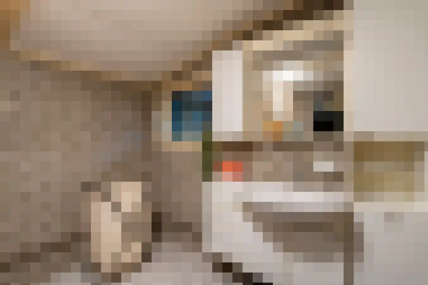 Bernsehoef 6 A Kaatsheuvel thumbnail 11