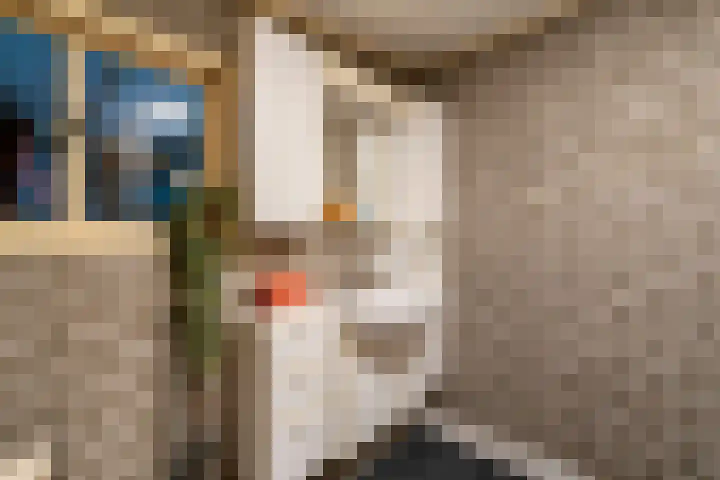 Bernsehoef 6 A Kaatsheuvel thumbnail 12